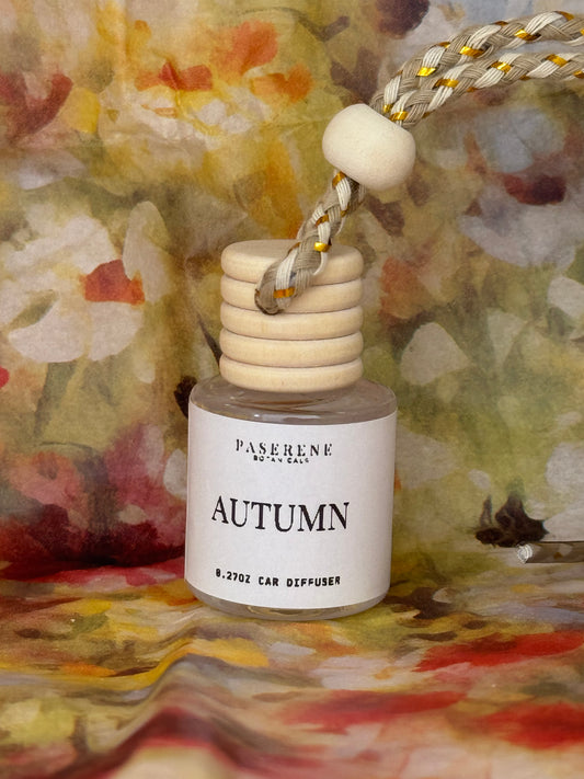 Autumn Car Diffuser