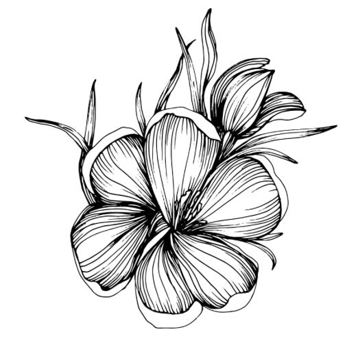 Santal 66 Room Spray